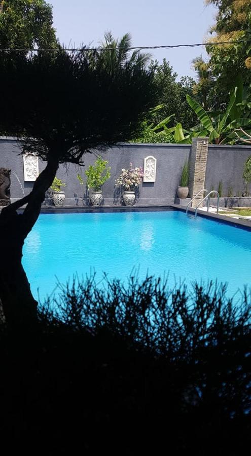 Mias Jungle House Hotel Lovina Kültér fotó