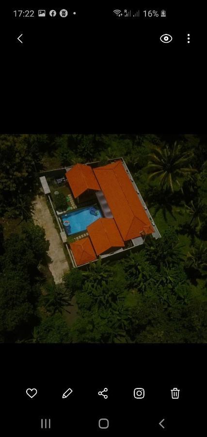 Mias Jungle House Hotel Lovina Kültér fotó